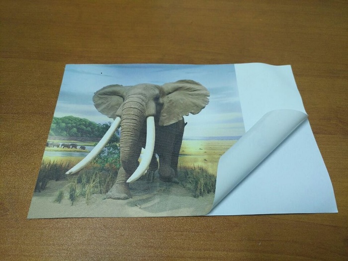 latex print self adhesive canvas