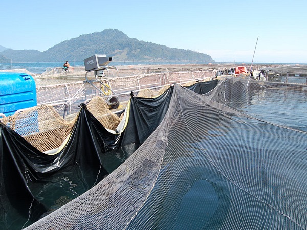 fish treatment tarpaulins