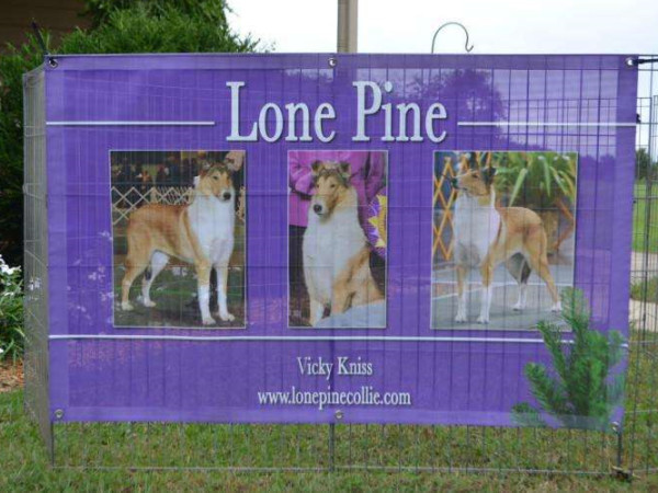 PVC Mesh banner for advertising