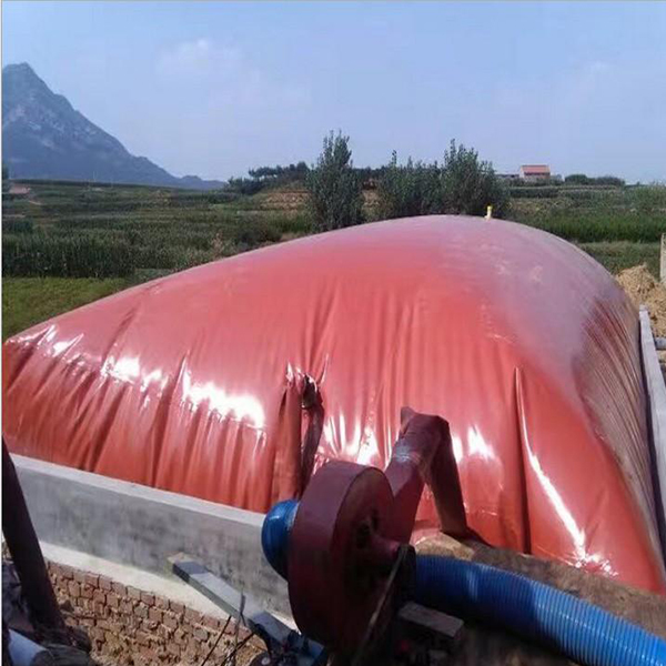 Biogas storage bag