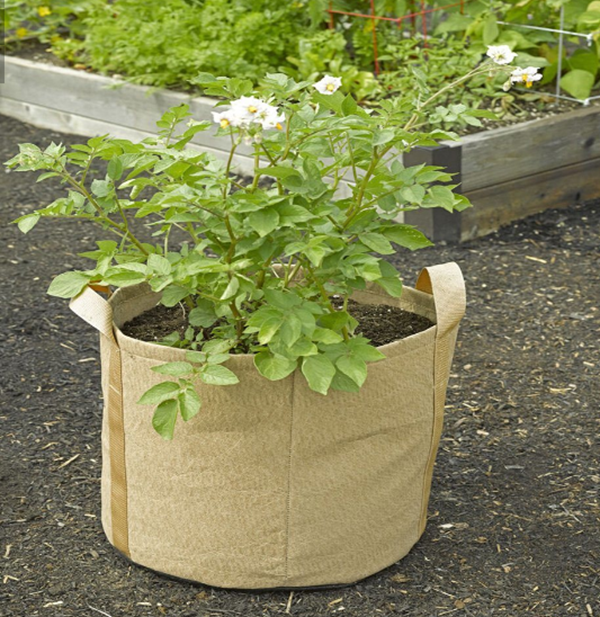 Tela de bolsas de cultivo de jardin interior