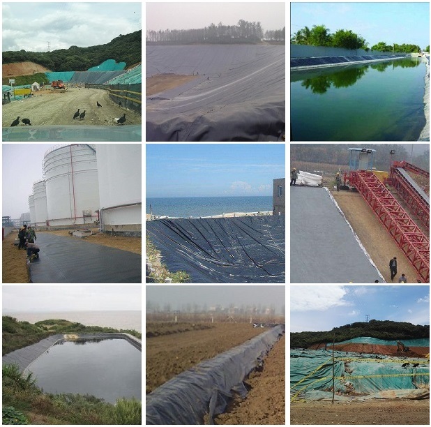 geomembrane liner