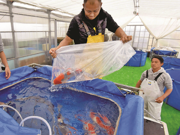 vivero de peces para barco