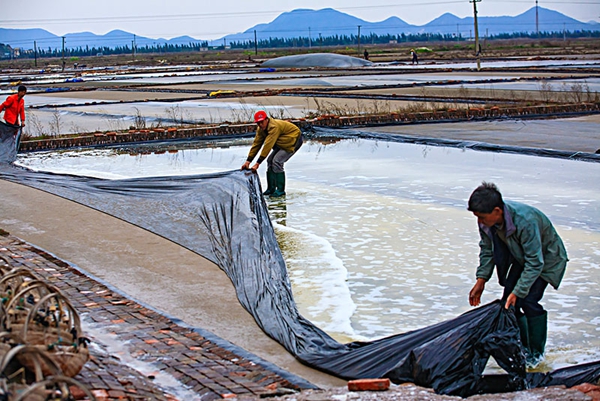 Lona ecologica para campos de sal o salinas 