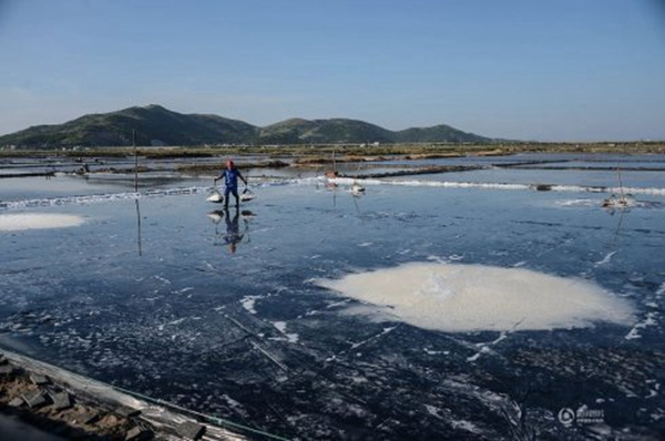 Lona ecologica para campos de sal o salinas 