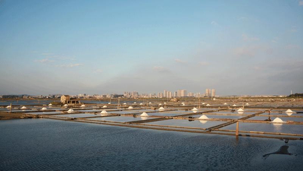 Lona ecologica para campos de sal o salinas 